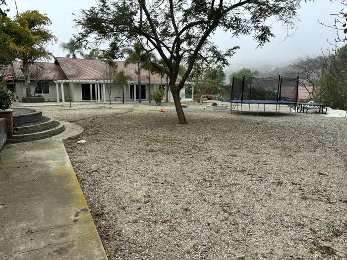 Before: the La Habra backyard as bare dirt with a single tree